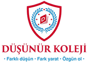 Düşünür Koleji